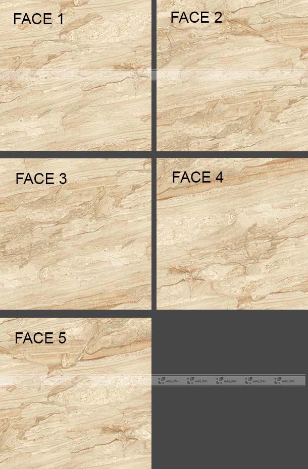 gach-viglacera-eco-mt603-1