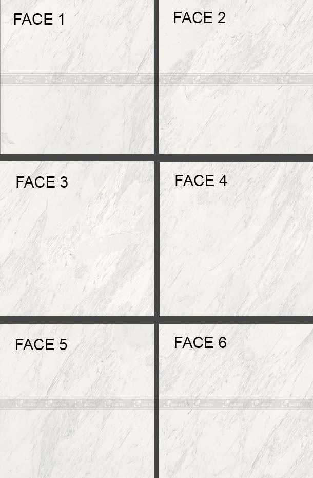 gach-viglacera-eco-mt606-2