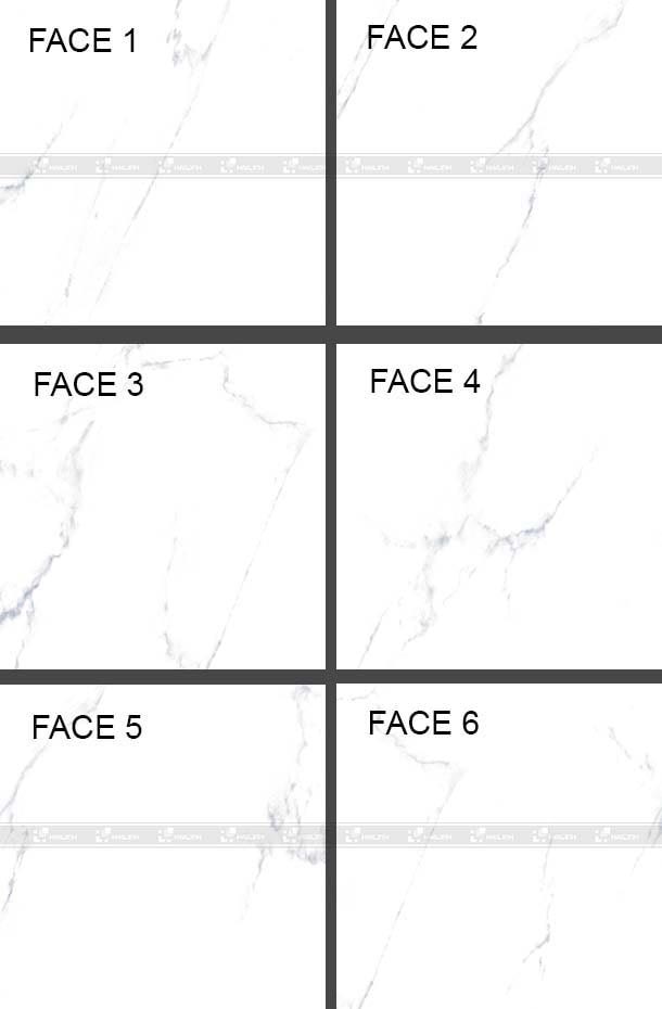 gach-viglacera-eco-t601-2