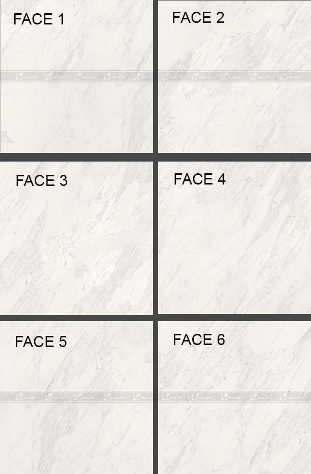 gach-viglacera-eco-t602-1