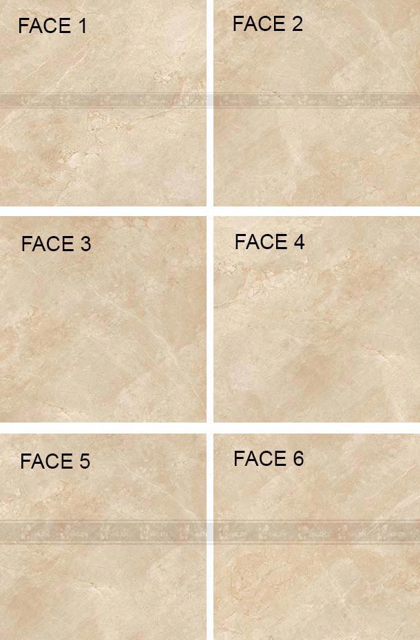 gach-viglacera-eco-t605-2