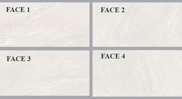 Face gạch ốp tường Viglacera PBS3641