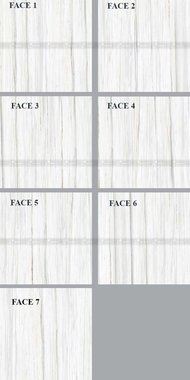 Face gạch lát nền Viglacera SIG.P8810