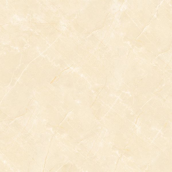 Gạch lát nền Viglacera TB-810