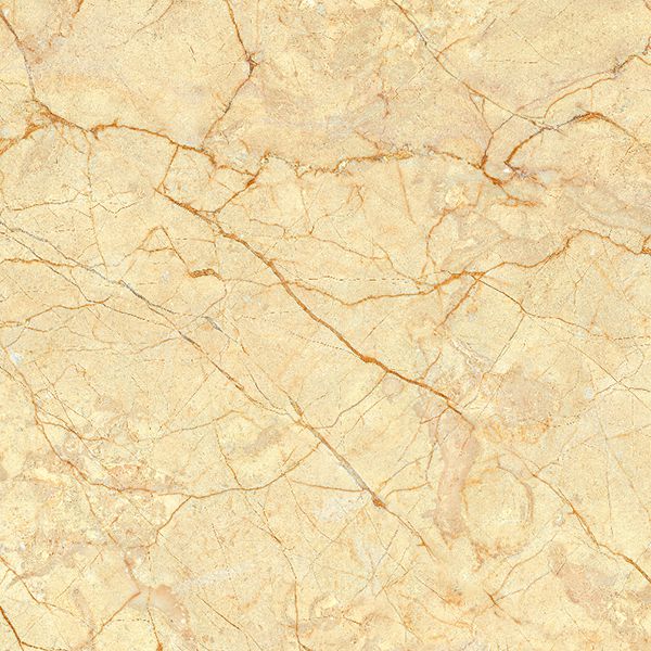 Gạch lát nền Viglacera TB-856