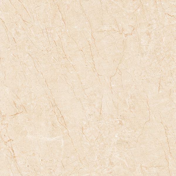 gach-viglacera-tq-803