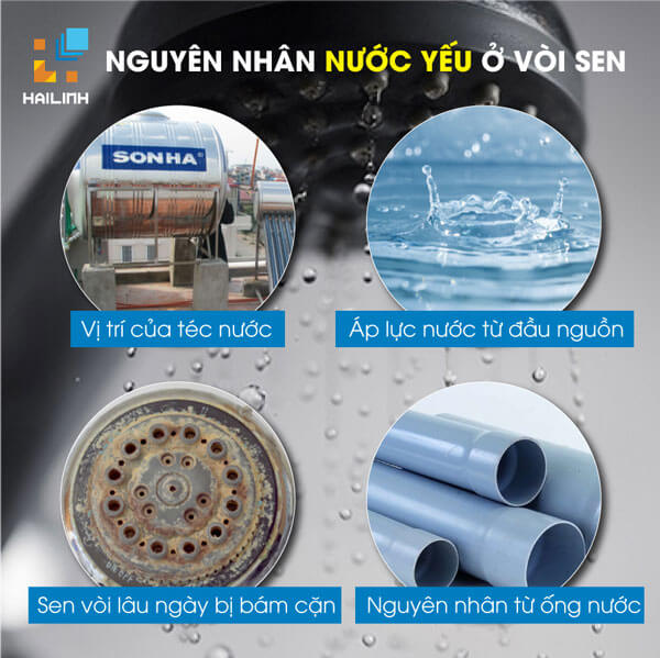 cach-lap-bom-tang-ap-cho-voi-sen