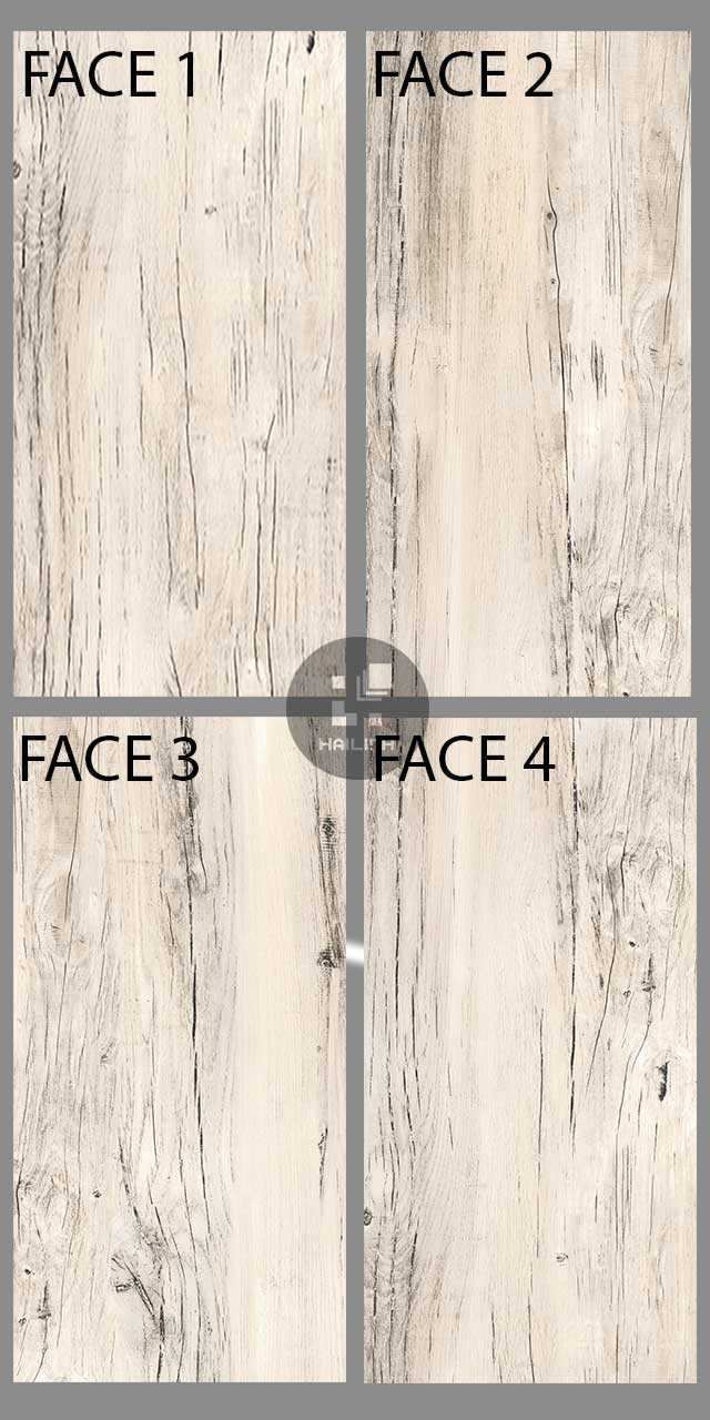 Face gạch Eurotile MOL I01