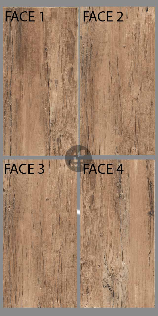 Face gạch Eurotile MOL I04