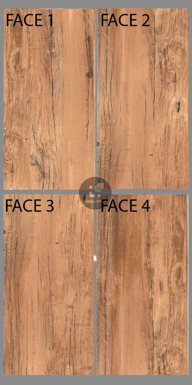 Face gạch Eurotile MOL I05