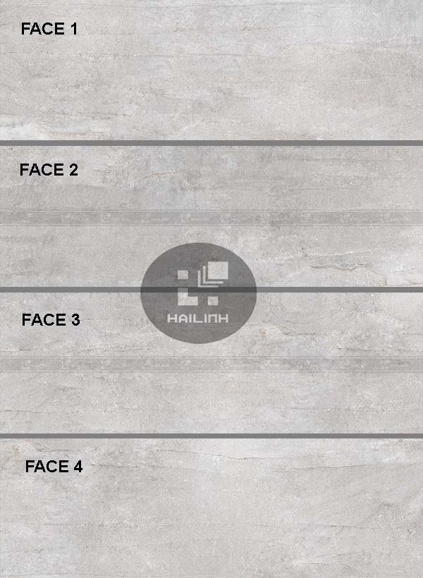 Face gạch Eurotile DAS D01