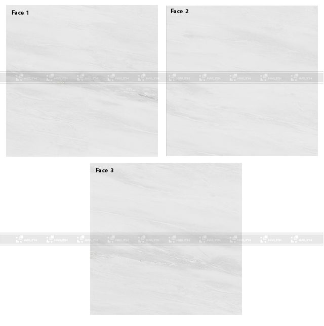 phong-mau-gach-eurotile-vad-h03