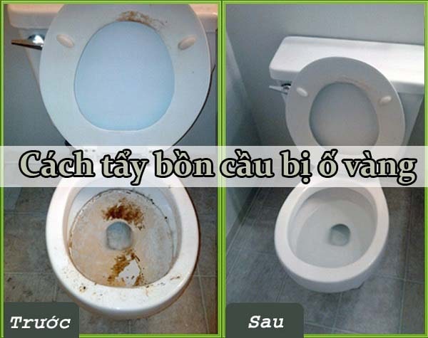 các cách tẩy bồn cầu bị ố vàng lâu ngày cực đơn giản và hiệu quả