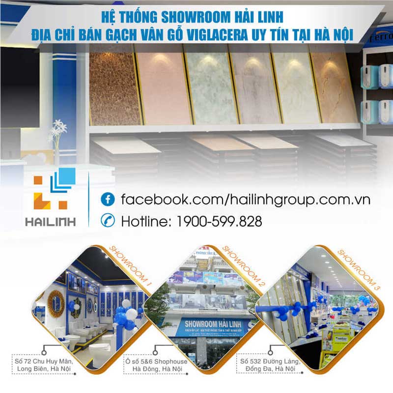 showroom-hai-linh