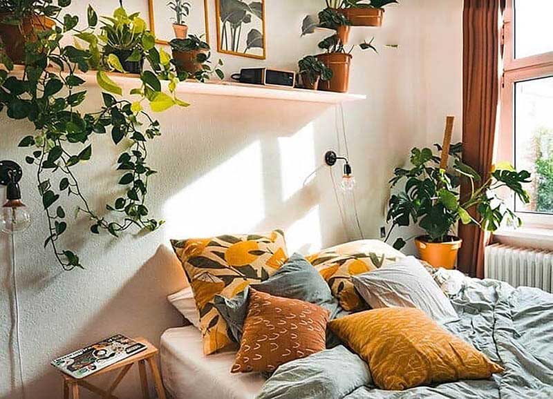 7-loai-cay-nen-dat-trong-phong-ngu-tot-cho-suc-khoe