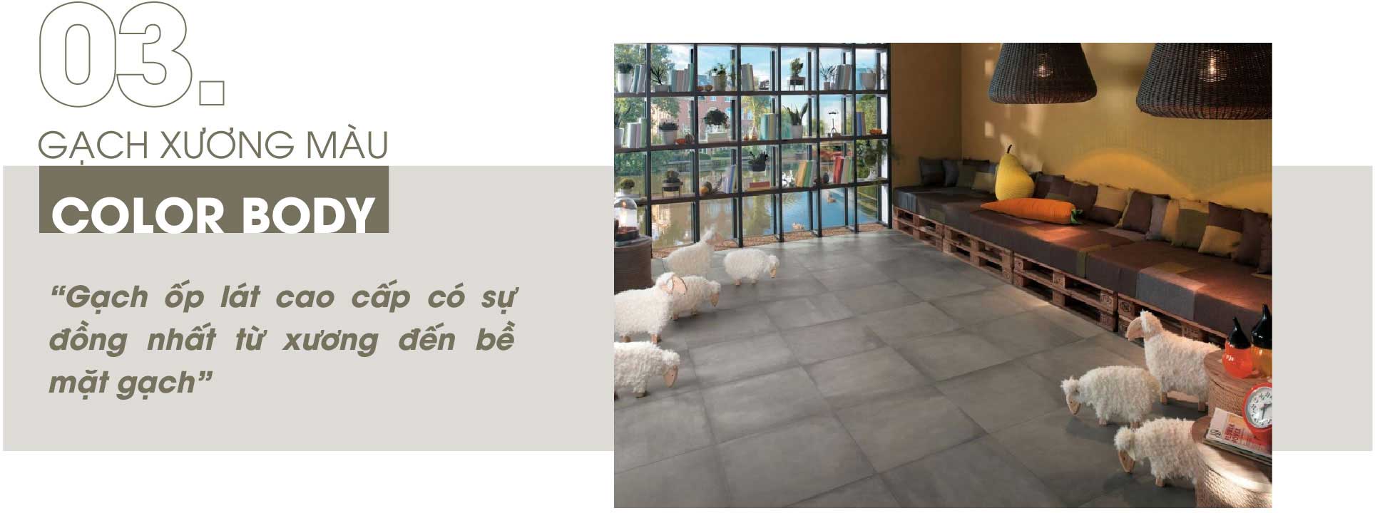 Gạch xương màu