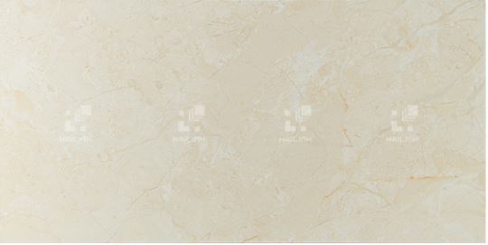 Gạch ốp lát Viglacera UB3631