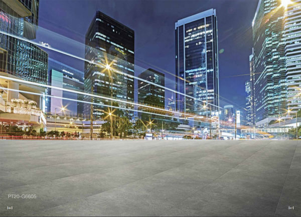 Viglacera Platinum PT 20-G6605