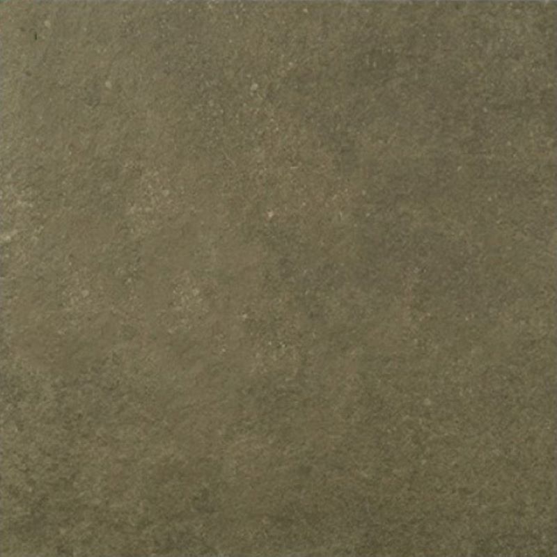 Gạch lát nền Viglacera PH 6601