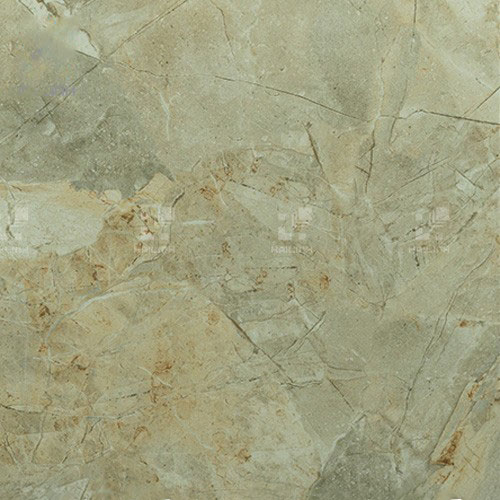 Gạch Viglacera H005