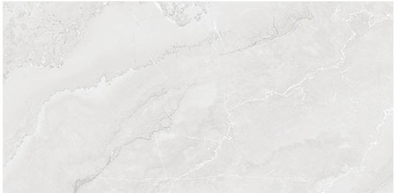 Gạch Viglacera SH-GP4801