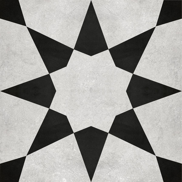 Gạch Viglacera PH22-B6