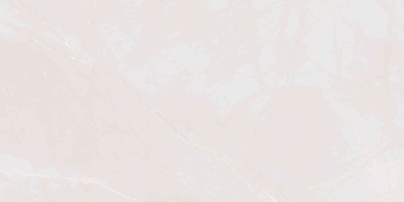 Gạch Viglacera CL-GP4807