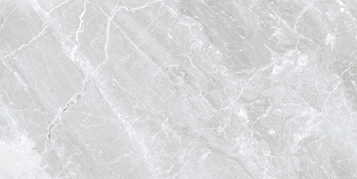 Gạch Viglacera CB-PT61208