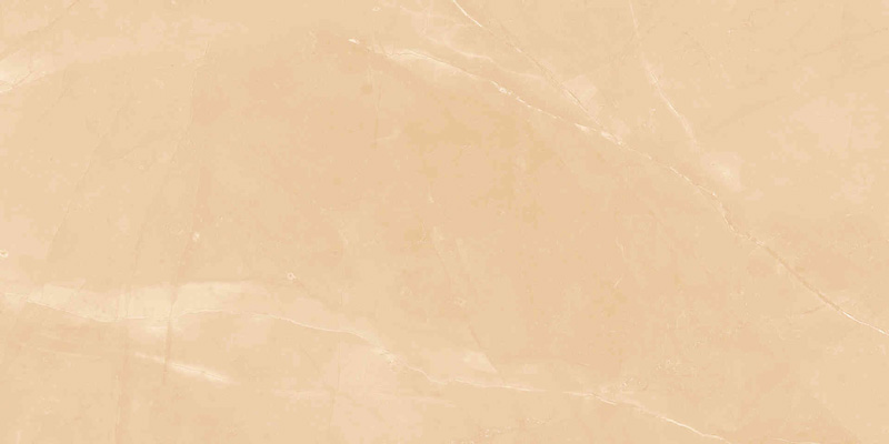 Gạch Viglacera CL-GP4806