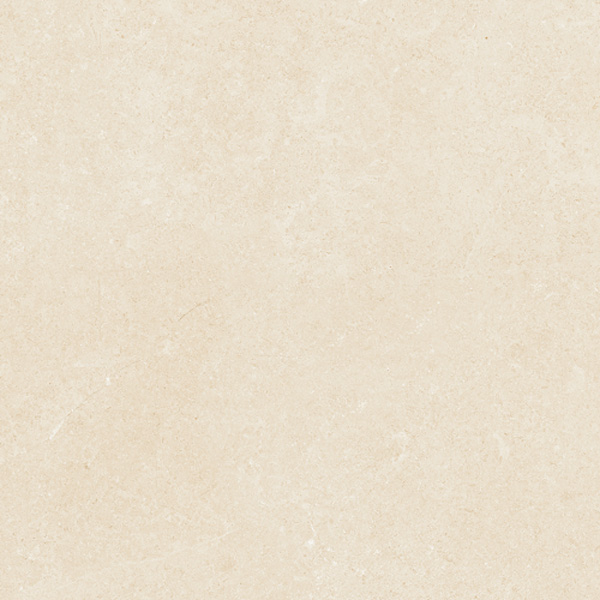 Gạch Viglacera Platinum PT 20-G6601